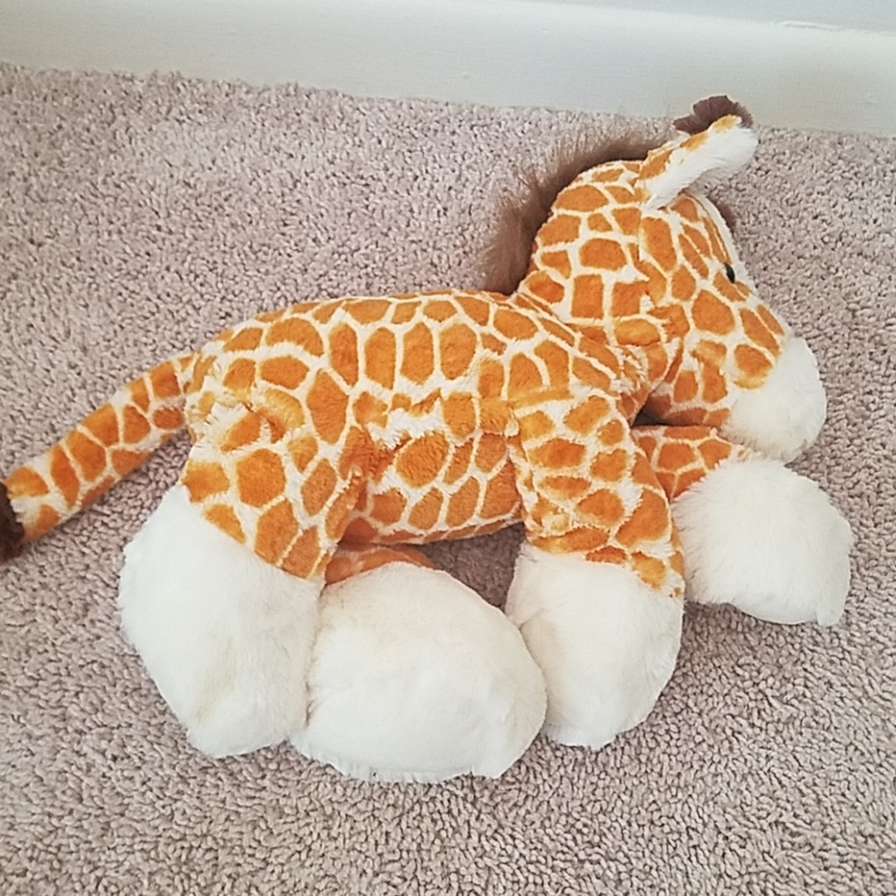 Toy